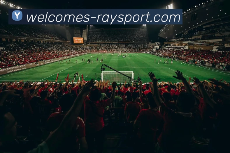 雷竞技平台APP 封面图